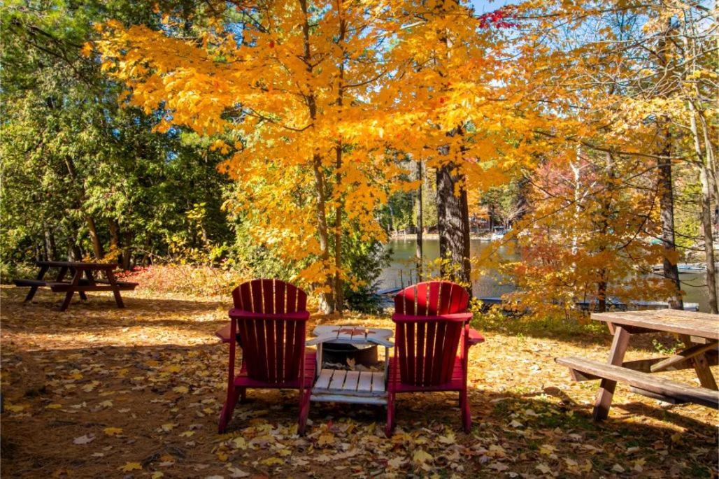 The Trace At Oak Lake Havelock 외부 사진